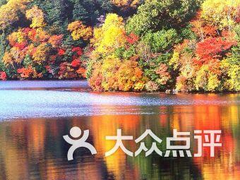 如何做好“在线教育”这块大蛋糕？游戏画面