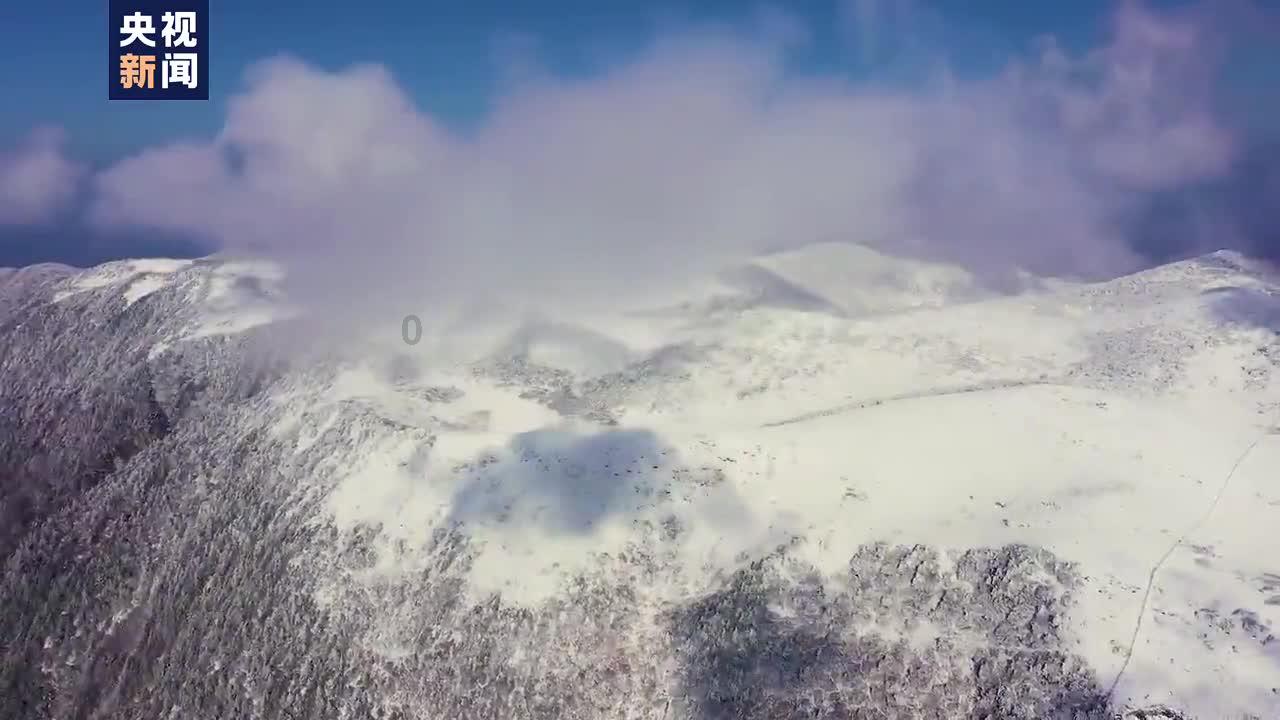 出口南美洲1.2万美元，山西的醋有多花里胡哨？游戏画面