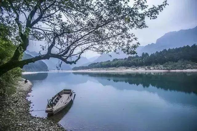 应流股份:已累计回购公司股份约239万股,占总股本0.35%