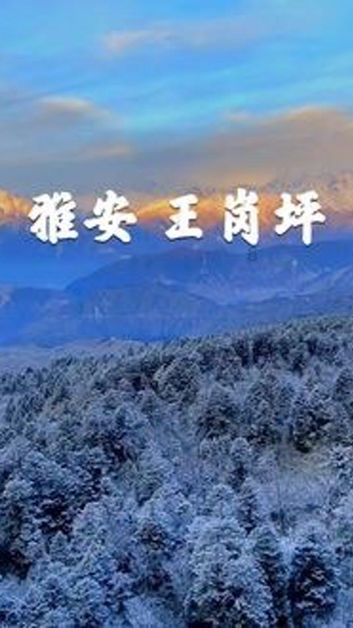 我国古人婚礼是怎么样的?