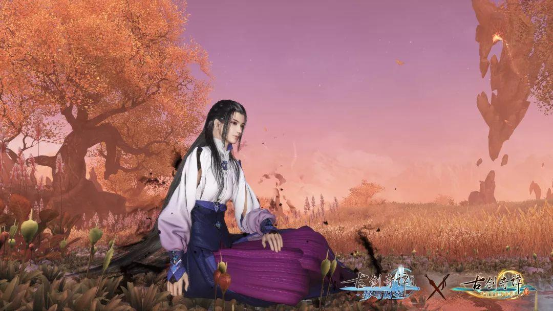 南阳市卫健体委观摩团到镇平县妇幼保健院现场观摩