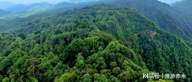 冠福股份:拟划转3.9万平土地使用权 用于建设数字经济和产业互联网产业园区