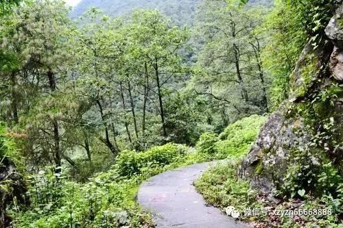 《黑神话：悟空》意味着什么？强势文化游戏画面