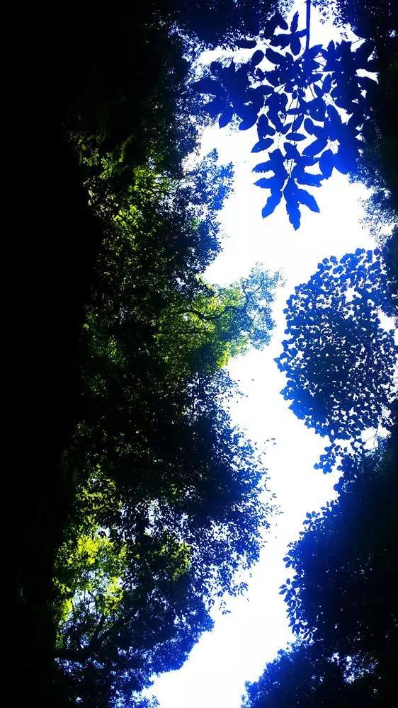 寻找战宝船