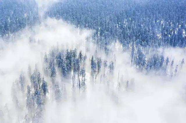 当全职妈妈在家带娃，却遭公婆白眼嫌弃该怎么办？游戏画面