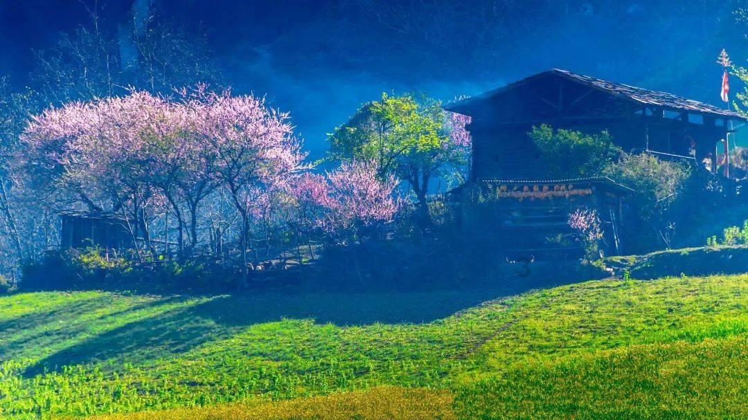 悬崖小屋逃生