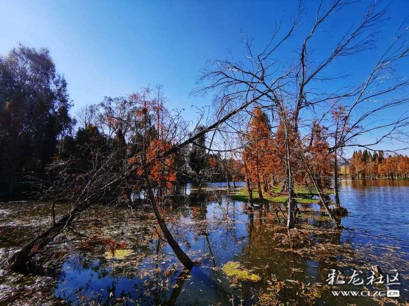 如何在pe中添加输入法游戏画面
