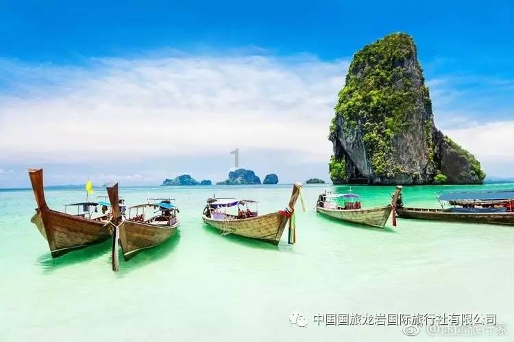 狐狸的旅程