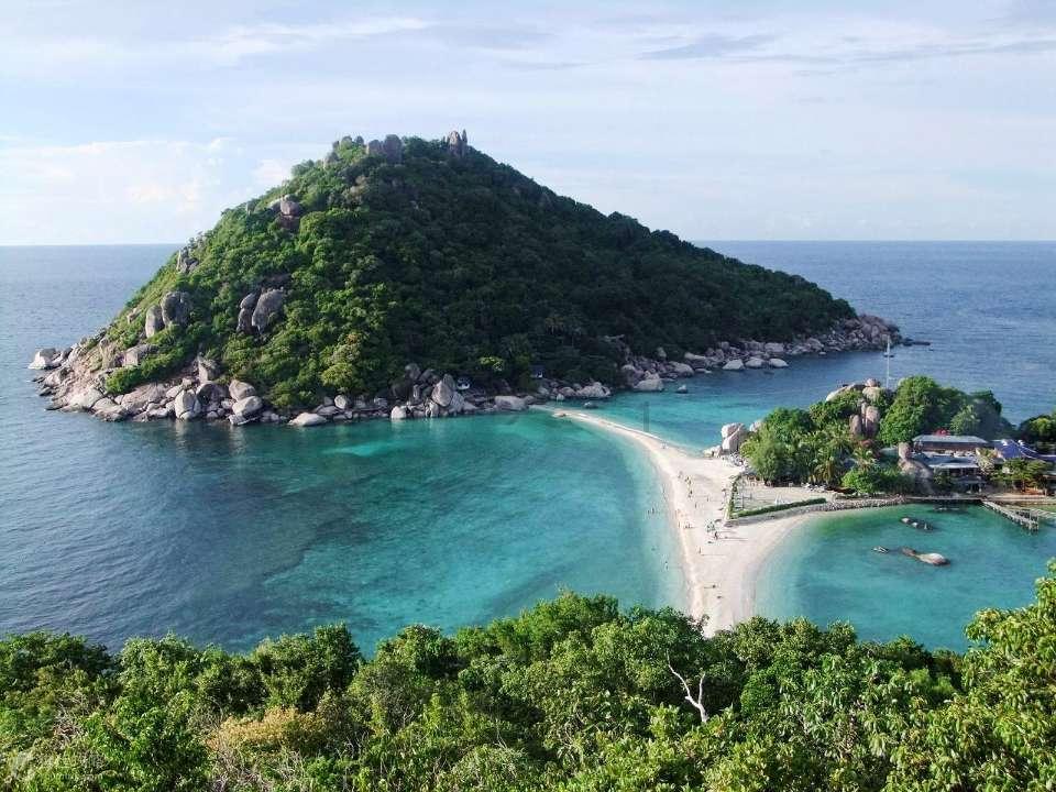 生化危机：浣熊市行动
