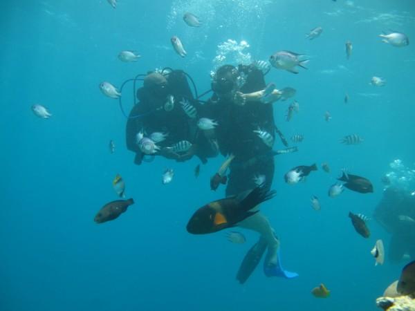 2023款高合HiPhi Y日常实用性测试报告