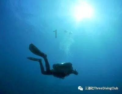 动物帮帮忙保卫家园