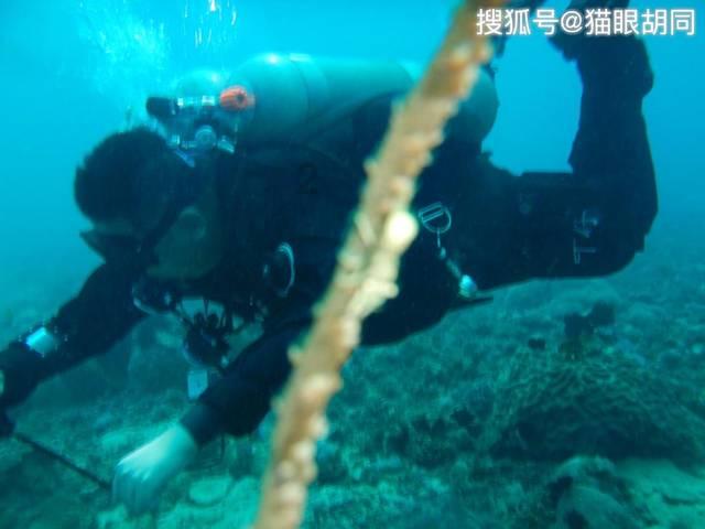 褶皱系列连衣裙版型结构设计图解