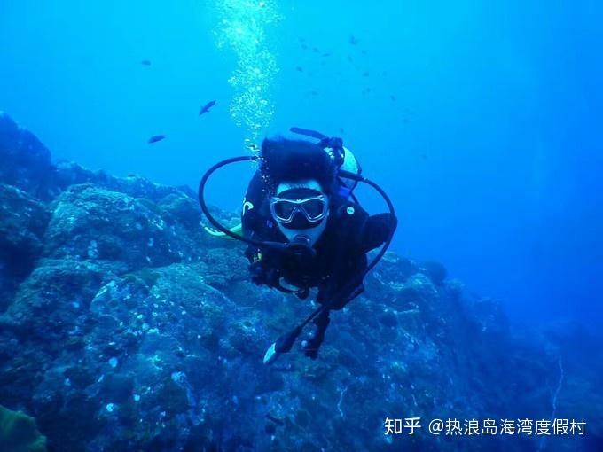 青春礼记
