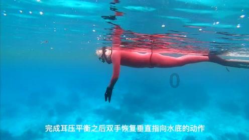 绿头鸭 | 物种科普