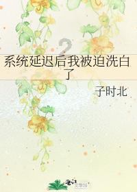 美丽小空姐