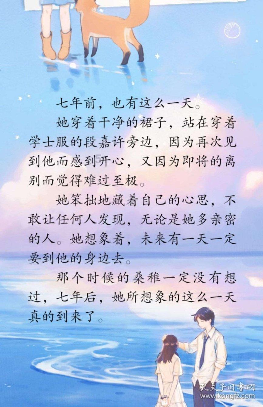 战斗机的反击