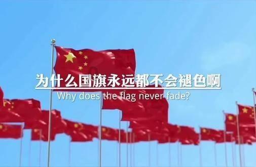 从语言大师到商业巨头，人生的多语之路与情感危机