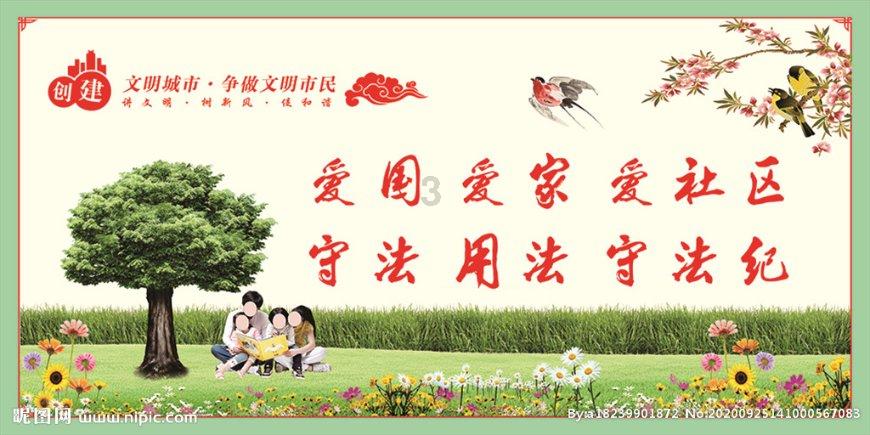 太阳花发芽了为什么长不大游戏画面