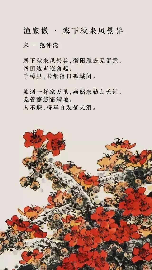 春雨直播app
