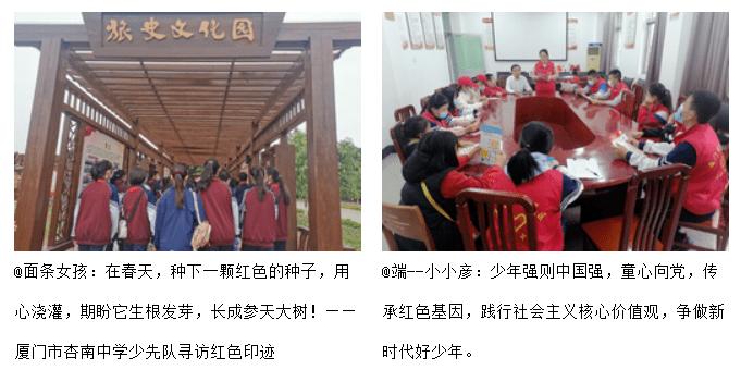 救援受困的小野猫