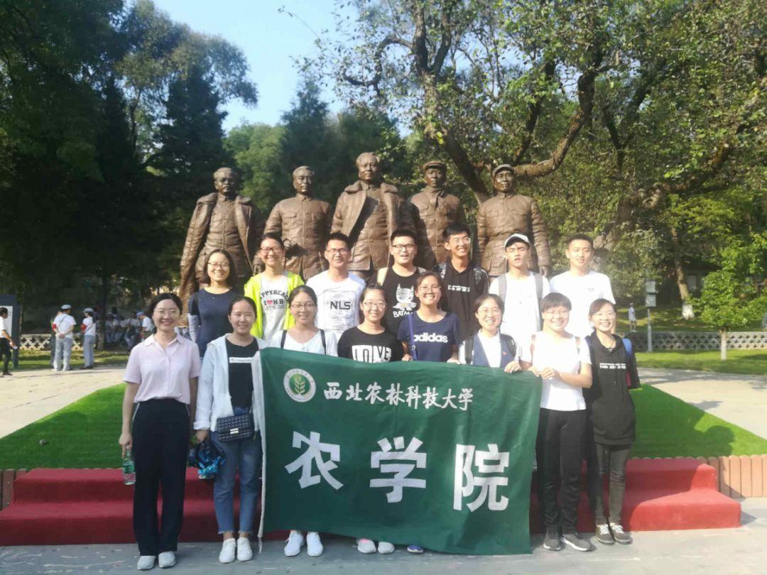 逗小猴开心系列200