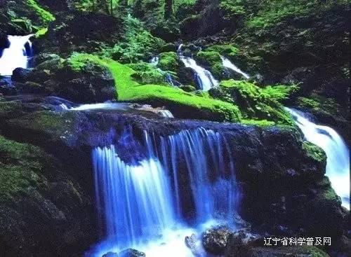 大丛林度假村逃生