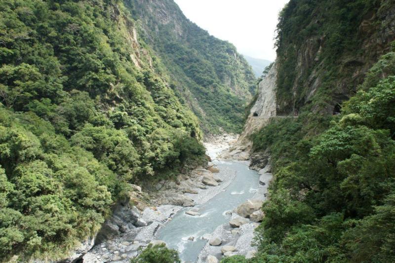 新华全媒+|厦门军营村:高山偏远村的绿色发展之路