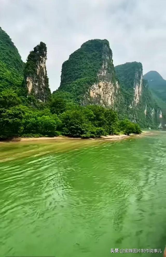 燃烧吧大脑免广告最新版