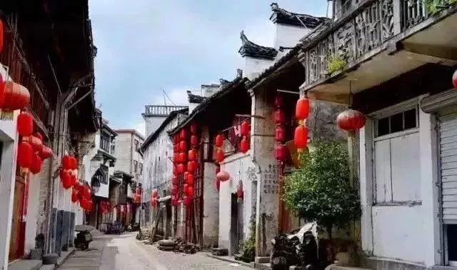 逃离梦想花园