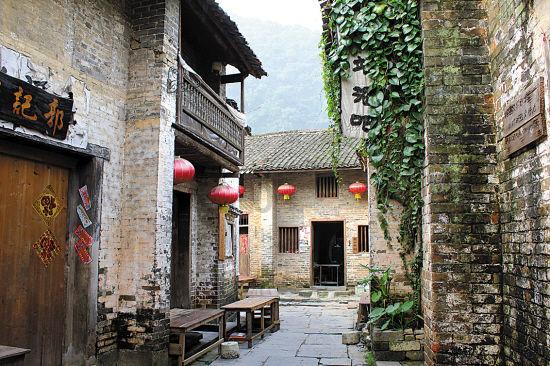 太阳花发芽了为什么长不大游戏画面