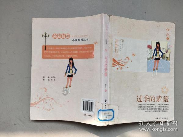 旋转飞机