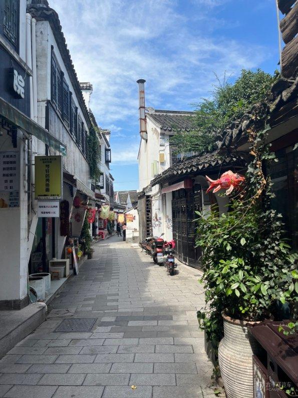 王秀娥跟张桂英两位军官太太的早逝，揭开了婚姻里最残忍的真相