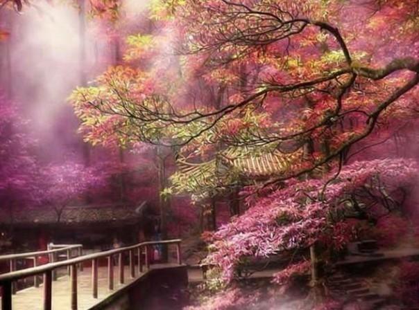 春节什么时候贴春联游戏画面