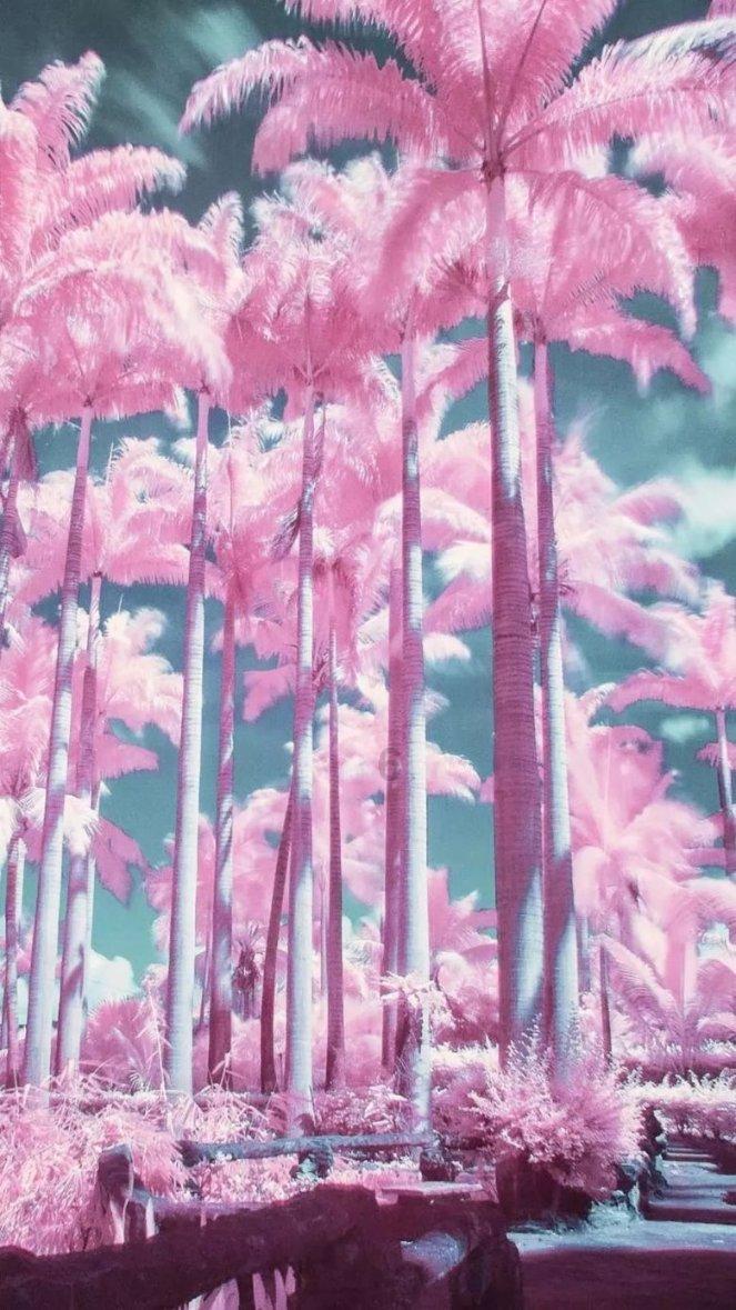 【抗凝冻 保民生】迎风踏雪“守护”晴隆群众温暖过冬