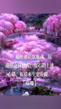 动物帮帮忙保卫家园